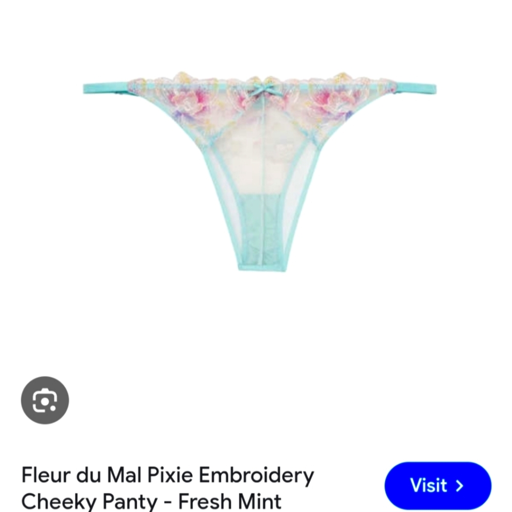 ISO Fleur du Mal Pixie (Mint Color) Cheeky Panty
